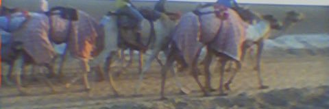 m_mar5an's profile banner image