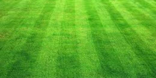 BtreeBabeRuth's profile banner image