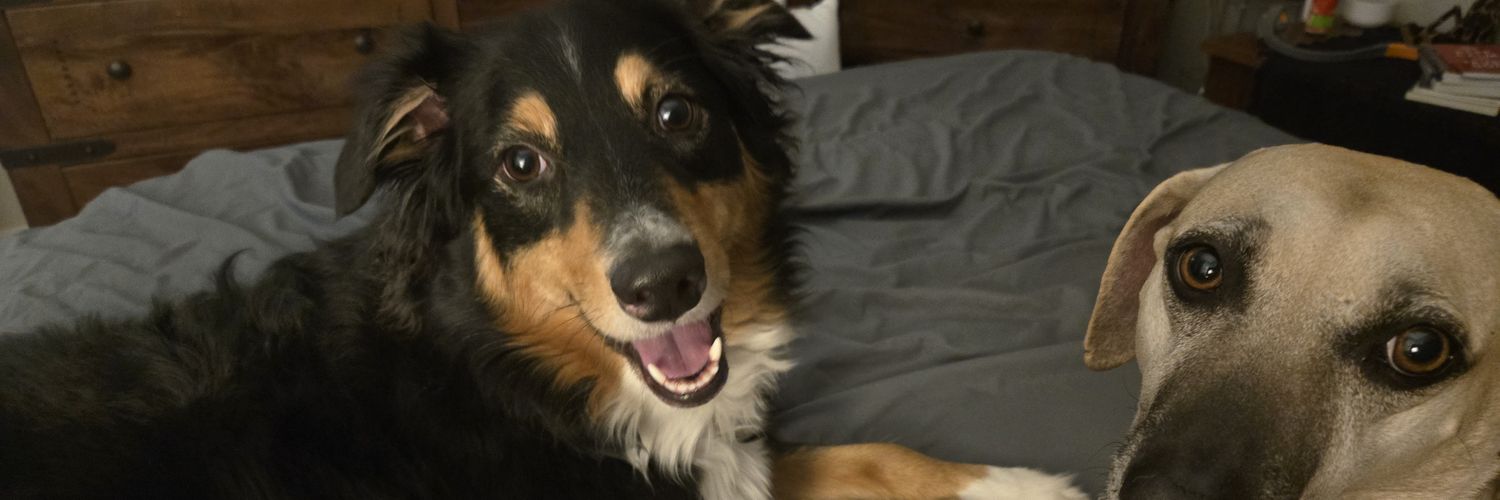 jules4nu's profile banner image