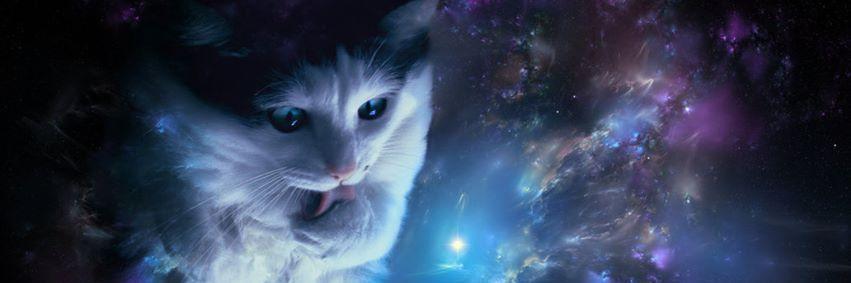 haynlo's profile banner image