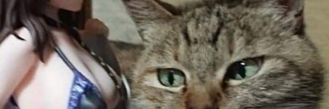 0eww0's profile banner image