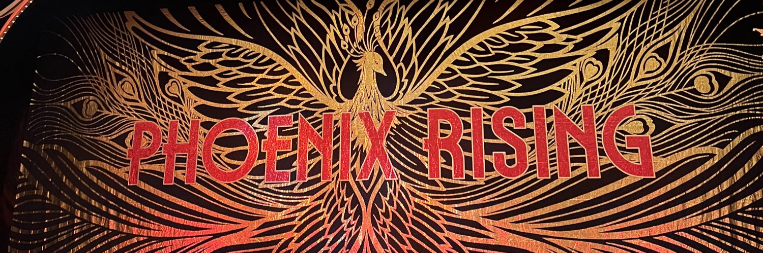 r_e95's profile banner image