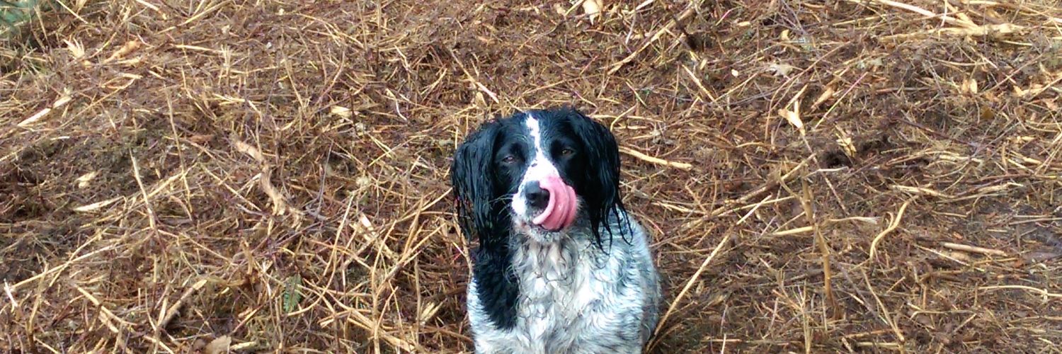 Benson-AFC 🇵🇸 banner
