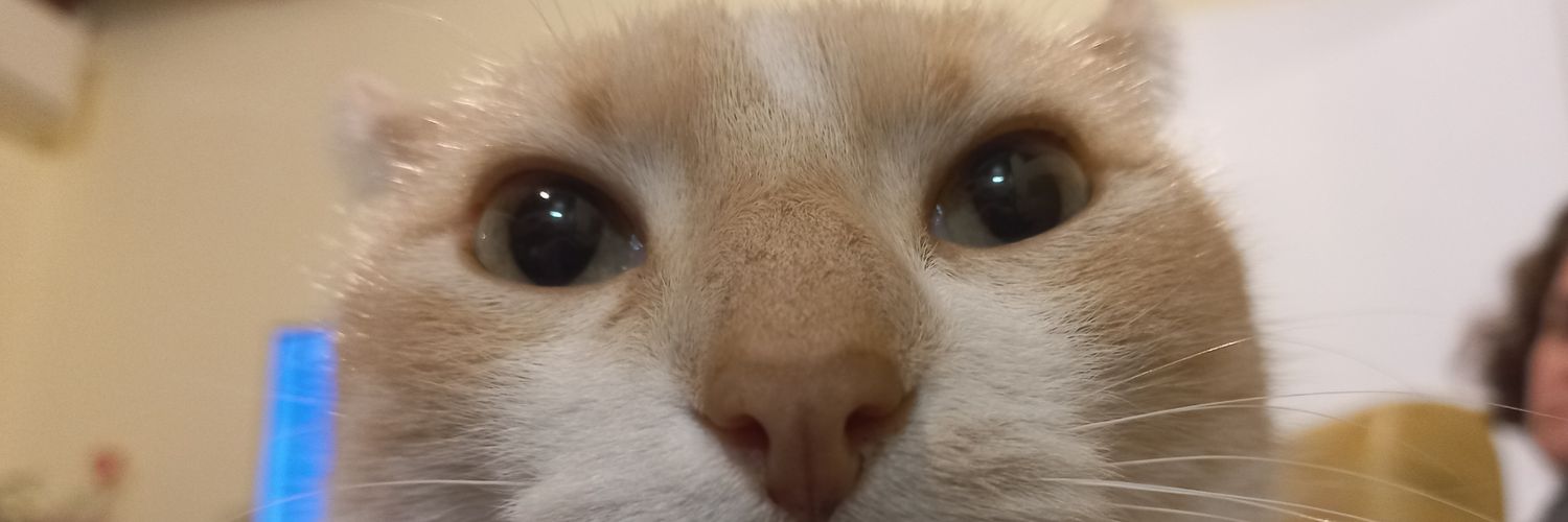 marigattoni1's profile banner image