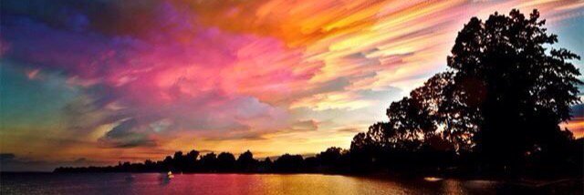 Barbara Dignam banner