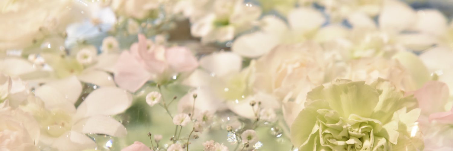 あこあ❄︎ banner