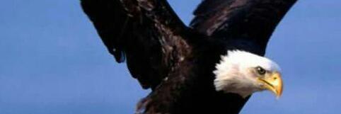 GoddyAgee's profile banner image