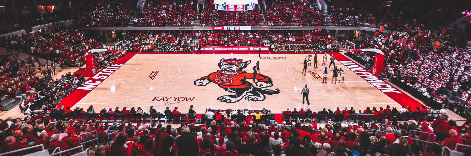 Ashley Williams banner