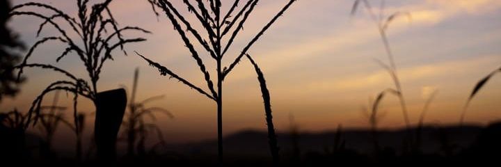 nghumbu's profile banner image