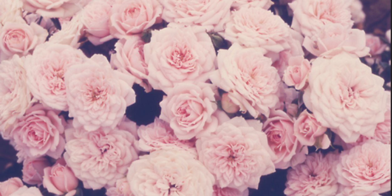 loveyoface's profile banner image