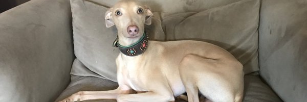 oukita2 Profile Banner