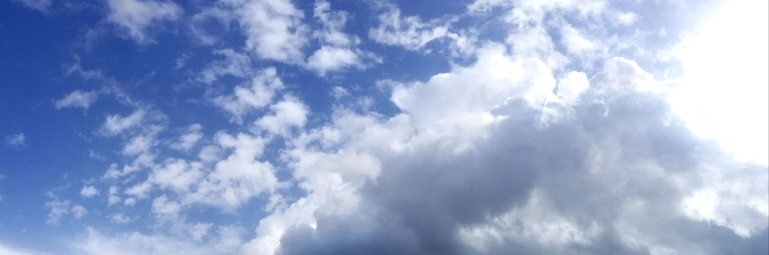 MegIvers's profile banner image