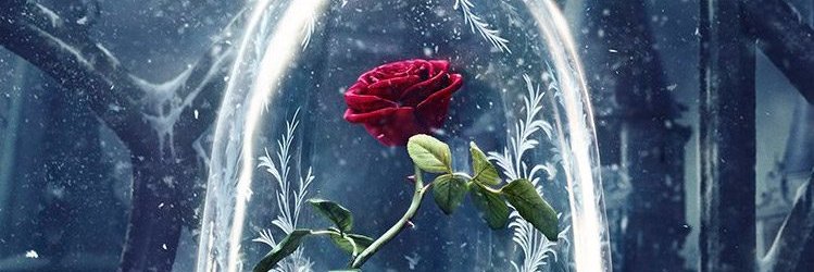 Falandolitera's profile banner image