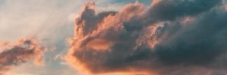 bryannasharyce's profile banner image