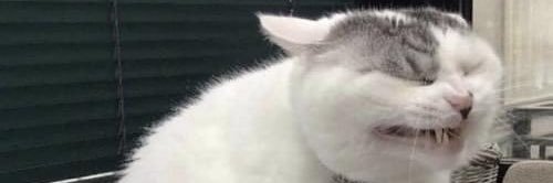 moonghost__'s profile banner image