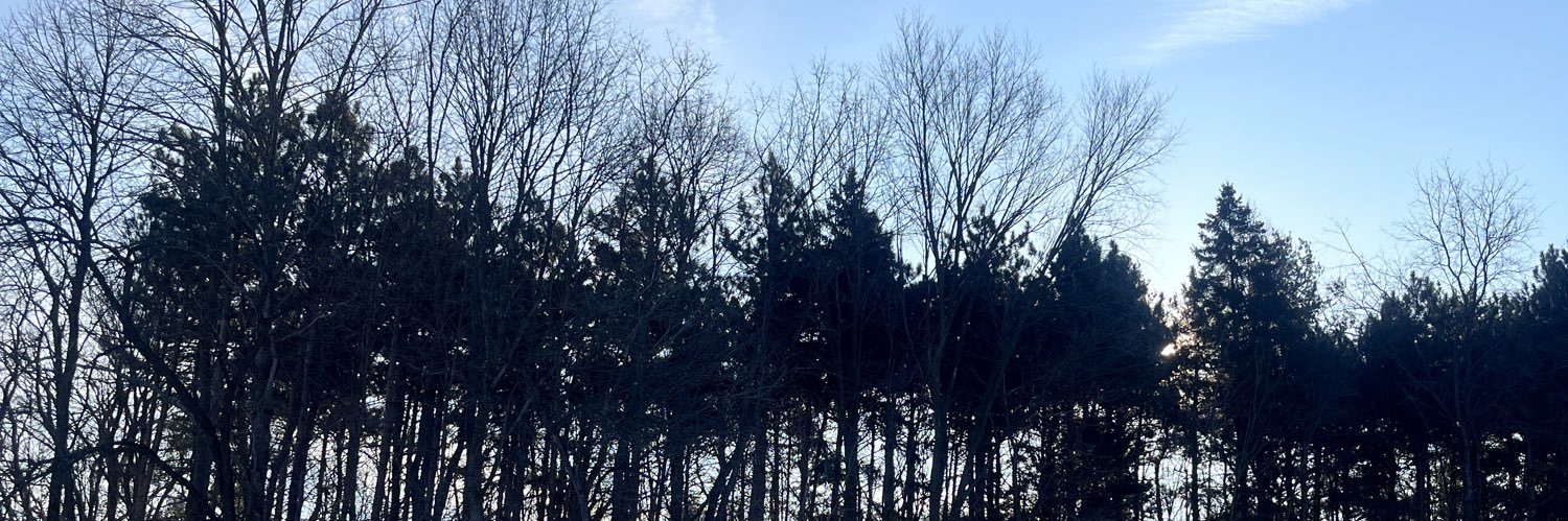 themstherules_'s profile banner image