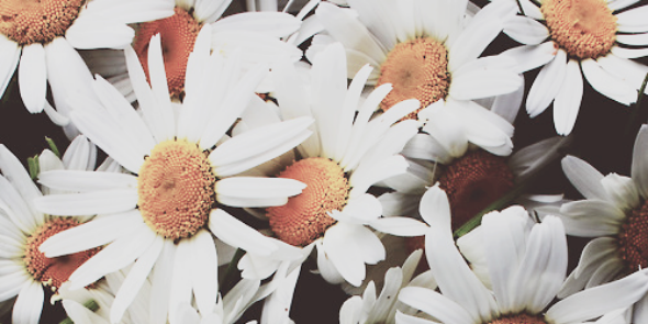 dropsdeAri's profile banner image