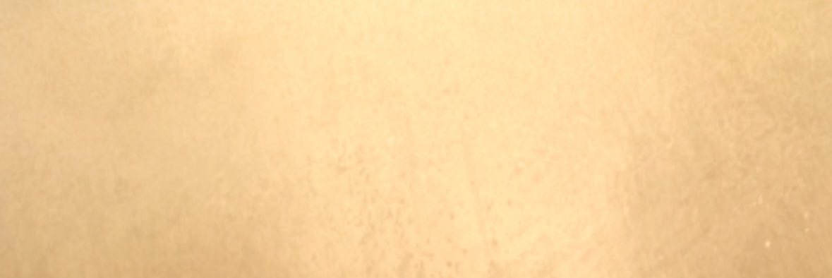 ncjzvjc's profile banner image