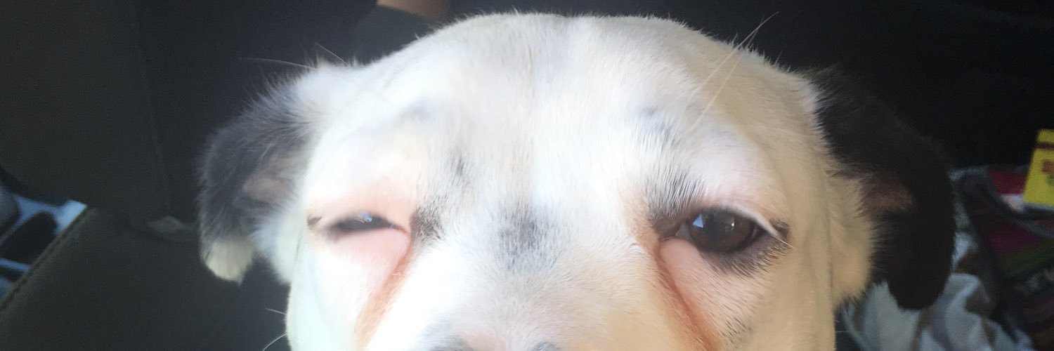 CChelebian's profile banner image
