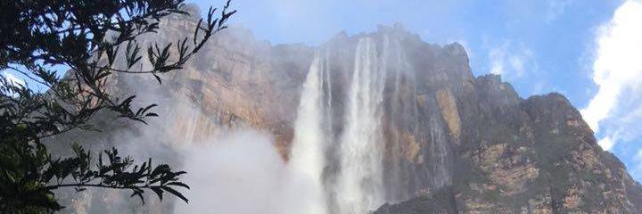 ManuManuPF's profile banner image