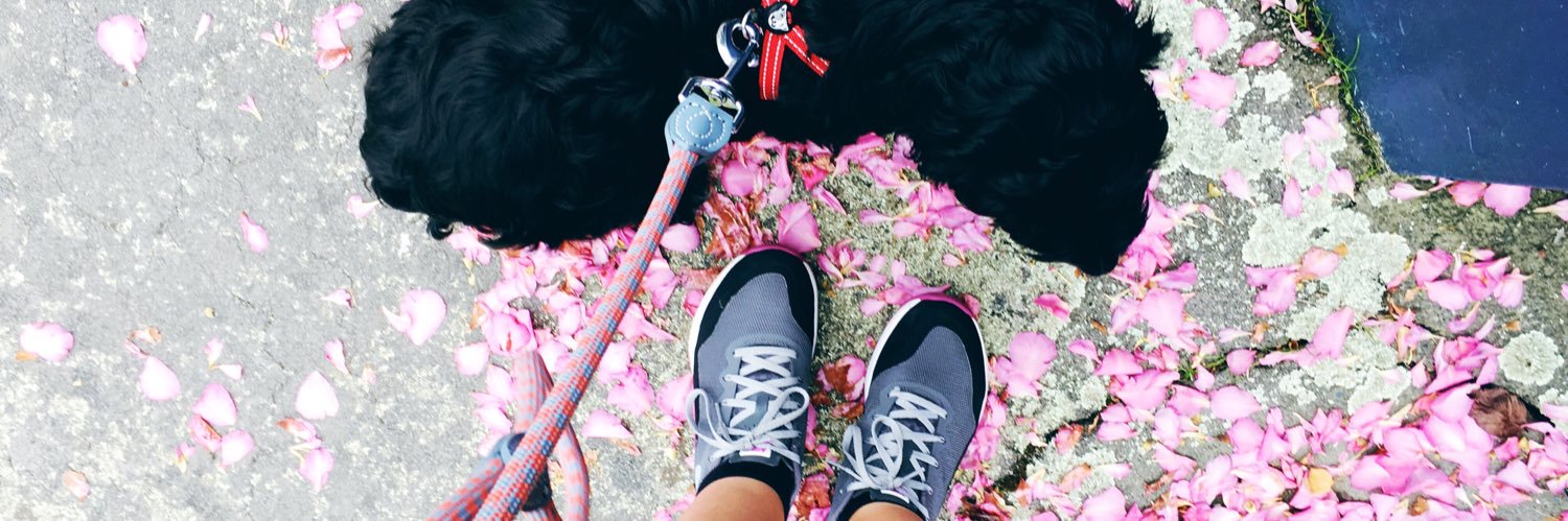Steph 🧚🏻‍♀️ banner