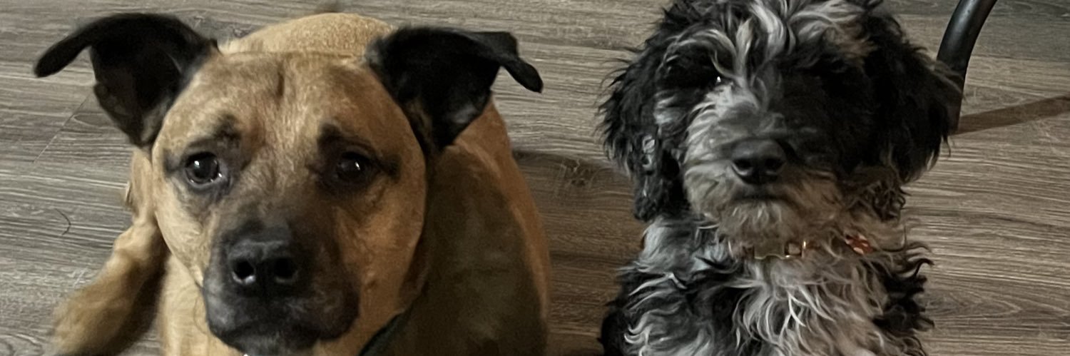 CortneyLDavis's profile banner image