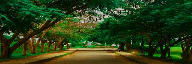 AdedayoPhilips's profile banner image