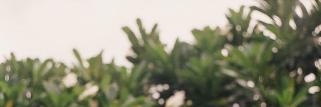 saymokrobin's profile banner image