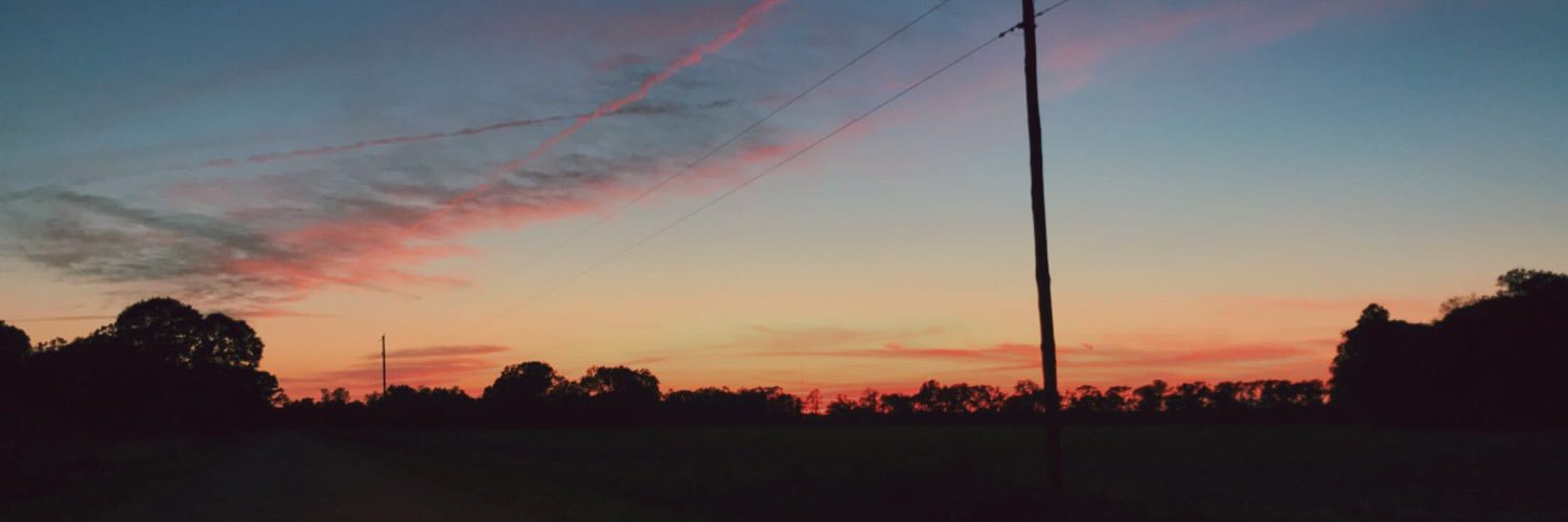sheebee18's profile banner image