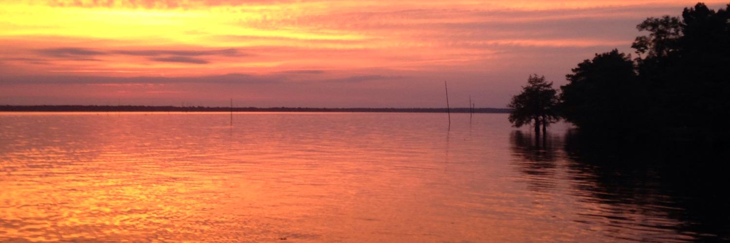 rpbodden's profile banner image
