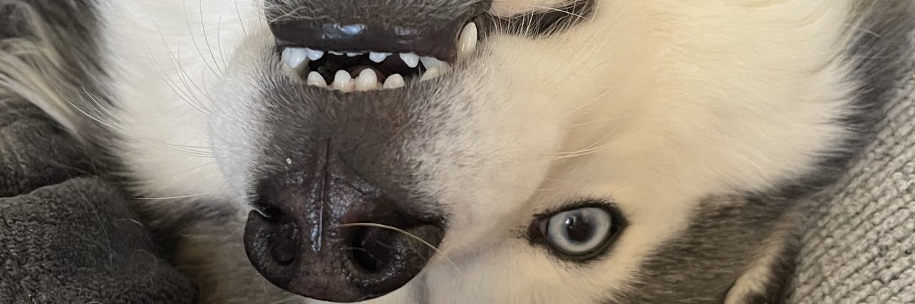 amber_adams_'s profile banner image