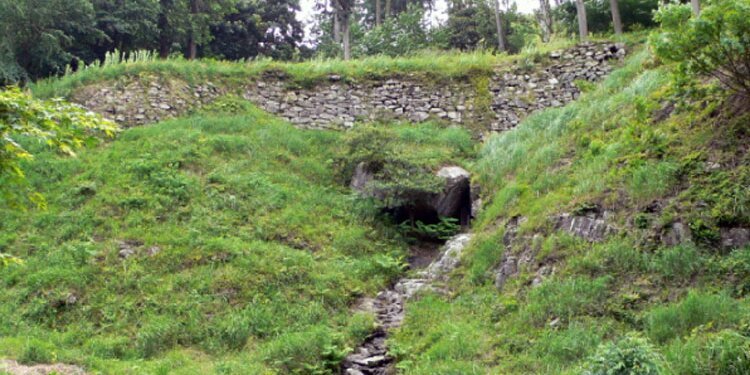 ta61173959's profile banner image