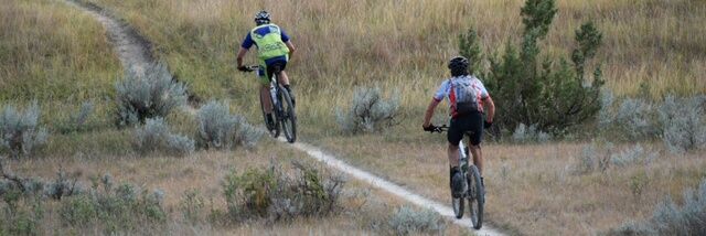 Mark Schoenfeld banner