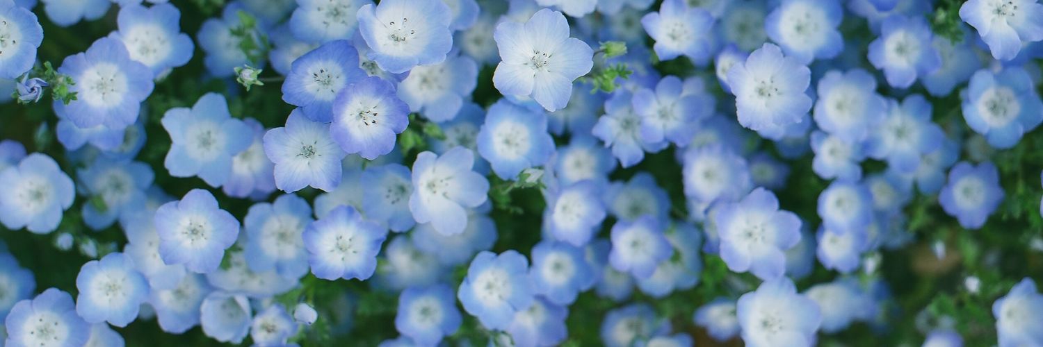 AliciaGR27's profile banner image
