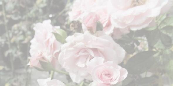 Dropsdecailin's profile banner image