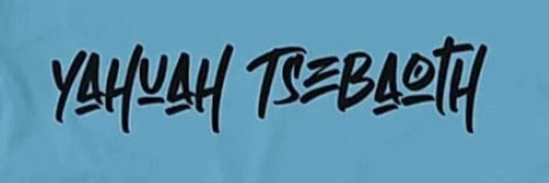 PerfectZionB's profile banner image