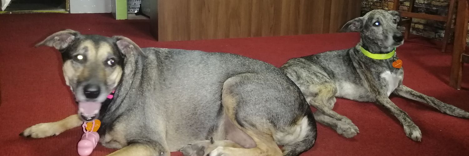 SheylaVelarde's profile banner image
