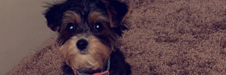 Emily__Soileau's profile banner image