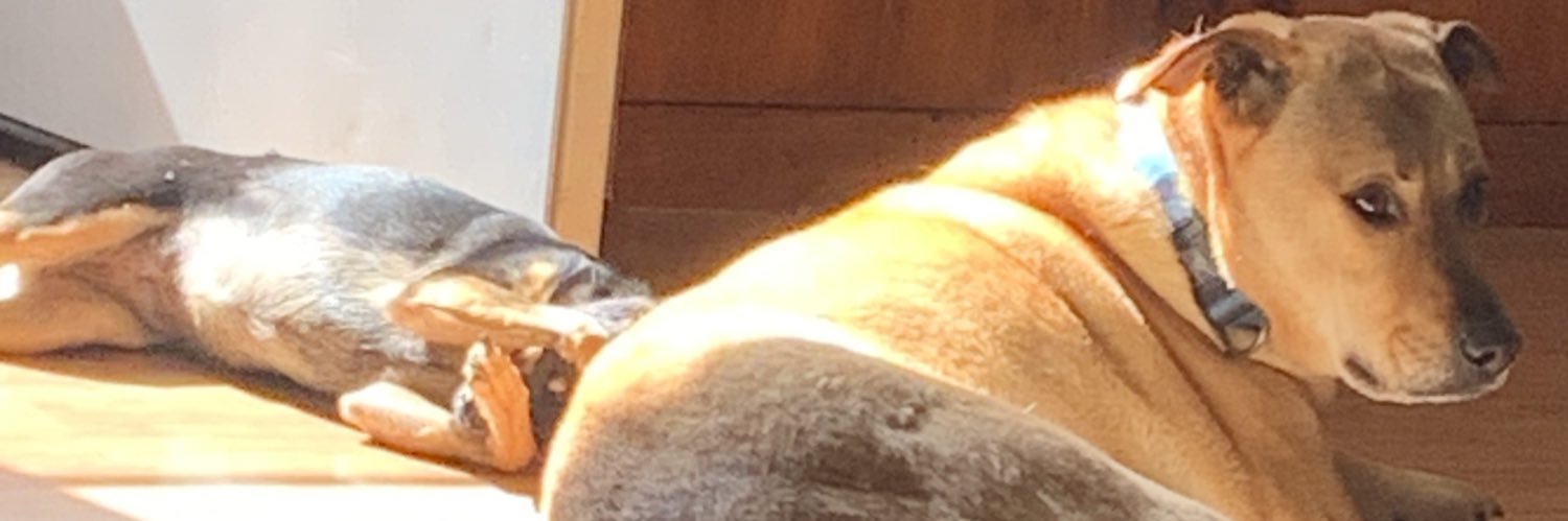 Jjbear07's profile banner image