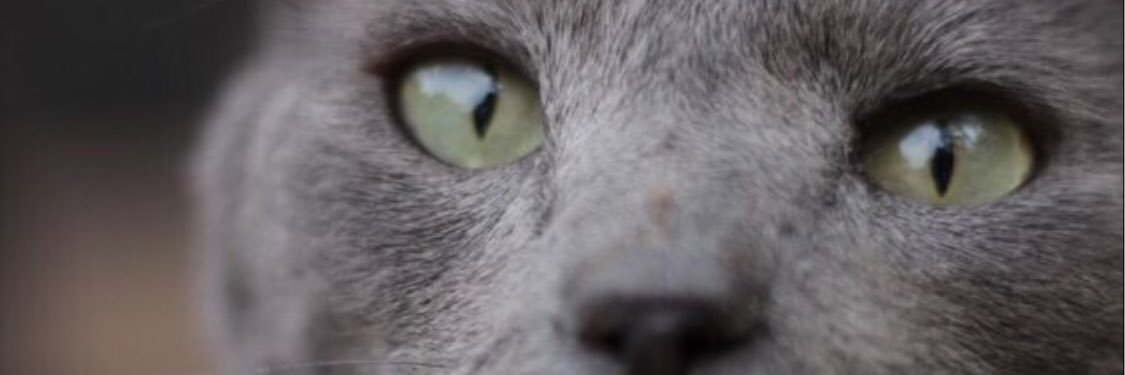Nurialopez25's profile banner image