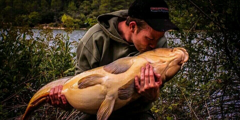 carpmichiel's profile banner image
