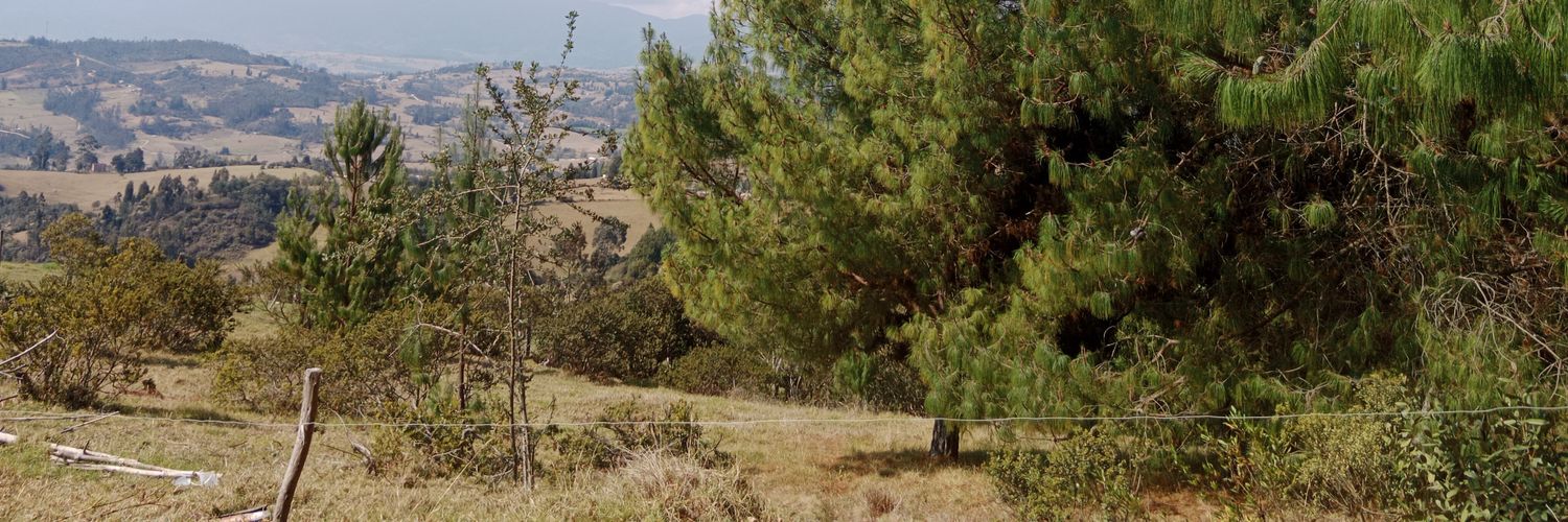 Mabel Hernández Molina banner