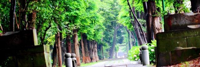 岡崎ゆうき banner