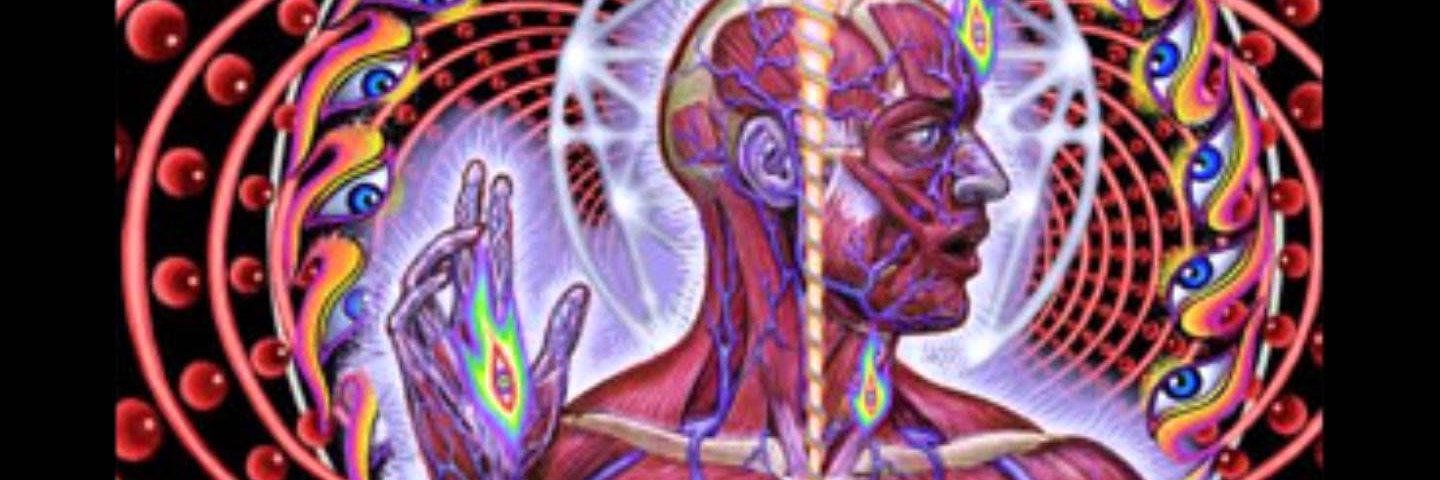Manoloelgallo's profile banner image