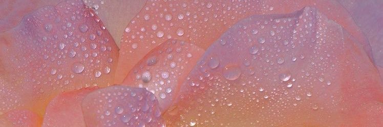 its_madison12's profile banner image