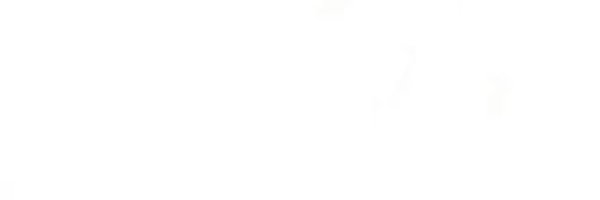 SpaSuzy Profile Banner