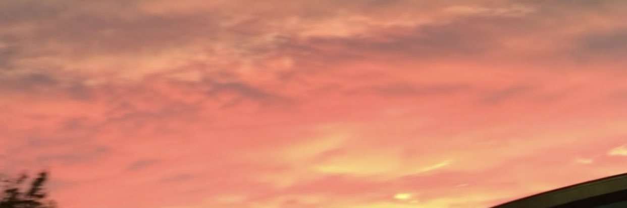 _nyarii's profile banner image