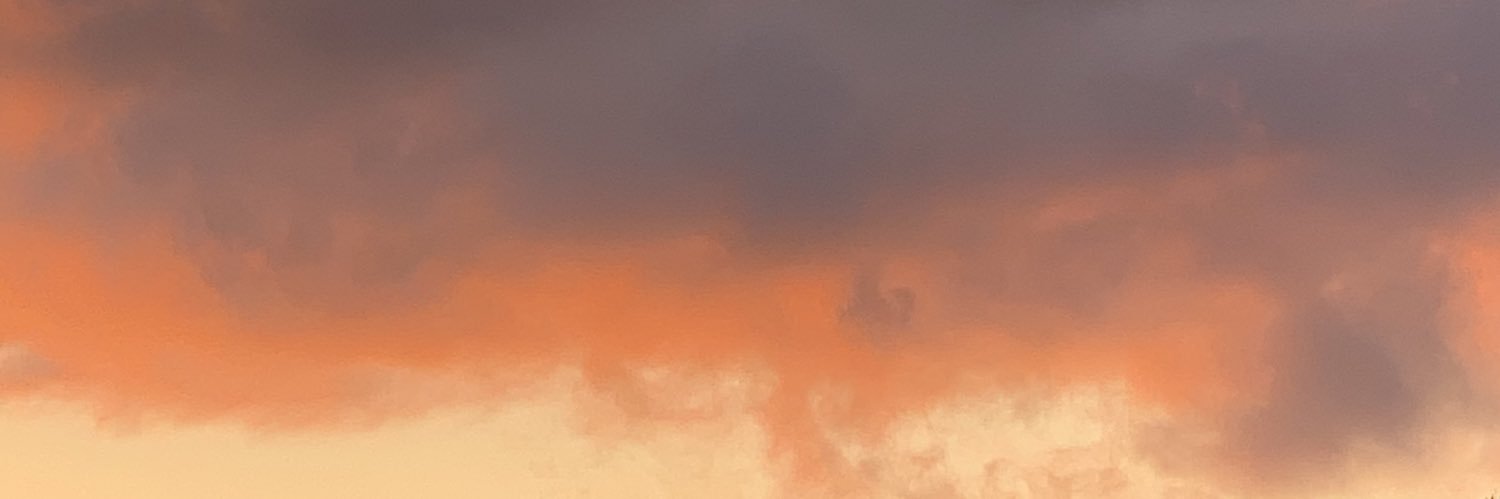 rebeccapousma's profile banner image