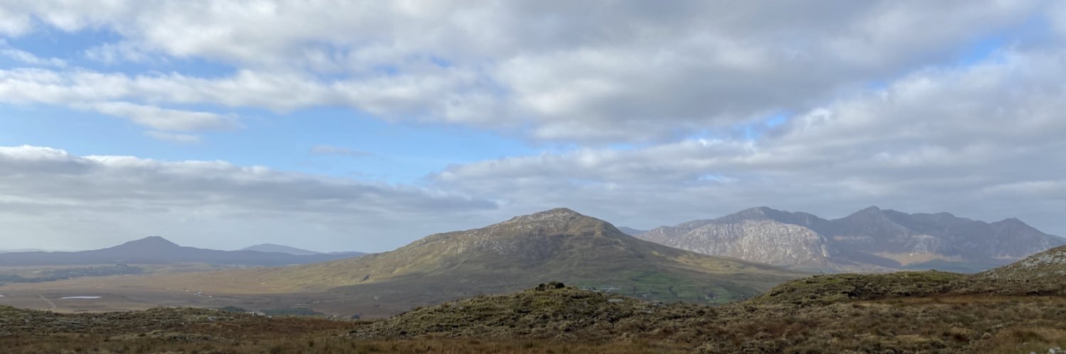 Olivia Collins banner