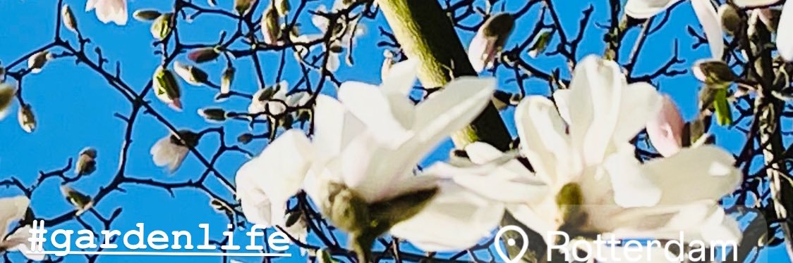 Gina Sponsored By Nature banner